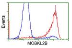 MOBKL2B Antibody in Flow Cytometry (Flow)