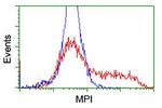 MPI Antibody in Flow Cytometry (Flow)