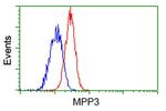 MPP3 Antibody in Flow Cytometry (Flow)
