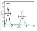 MRAP Antibody in Flow Cytometry (Flow)