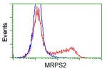 MRPS2 Antibody in Flow Cytometry (Flow)