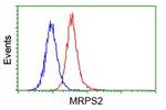 MRPS2 Antibody in Flow Cytometry (Flow)
