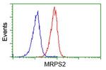 MRPS2 Antibody in Flow Cytometry (Flow)