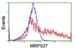 MRPS27 Antibody in Flow Cytometry (Flow)