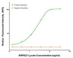 MRPS27 Antibody in Luminex (Luminex)