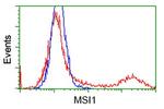 MSI1 Antibody in Flow Cytometry (Flow)
