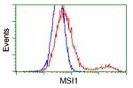 MSI1 Antibody in Flow Cytometry (Flow)