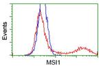 MSI1 Antibody in Flow Cytometry (Flow)