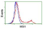 MSI1 Antibody in Flow Cytometry (Flow)