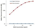 MSLN Antibody in Luminex (Luminex)