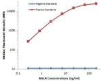 MSLN Antibody in Luminex (Luminex)