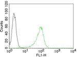 Human Nuclear Antigen (HNA) (Human Cell Marker) Antibody in Flow Cytometry (Flow)