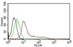 Human Nuclear Antigen (HNA) (Human Cell Marker) Antibody in Flow Cytometry (Flow)