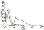 Human Nuclear Antigen (HNA) (Human Cell Marker) Antibody in Flow Cytometry (Flow)
