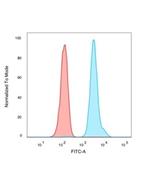 Human Nuclear Antigen (HNA) (Human Cell Marker) Antibody in Flow Cytometry (Flow)