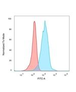 Human Nuclear Antigen (HNA) (Human Cell Marker) Antibody in Flow Cytometry (Flow)