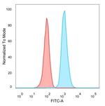 Human Nuclear Antigen (HNA) (Human Cell Marker) Antibody in Flow Cytometry (Flow)