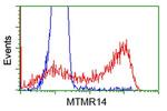 MTMR14 Antibody in Flow Cytometry (Flow)