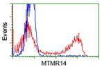MTMR14 Antibody in Flow Cytometry (Flow)