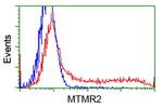 MTMR2 Antibody in Flow Cytometry (Flow)