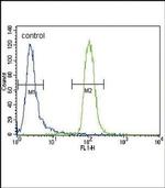 MUSK Antibody in Flow Cytometry (Flow)