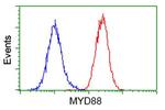 MYD88 Antibody in Flow Cytometry (Flow)