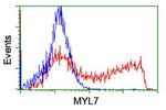 MYL7 Antibody in Flow Cytometry (Flow)