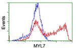 MYL7 Antibody in Flow Cytometry (Flow)