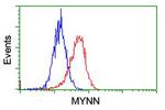 MYNN Antibody in Flow Cytometry (Flow)