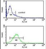 MYO1A Antibody in Flow Cytometry (Flow)
