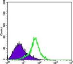 Metadherin Antibody in Flow Cytometry (Flow)