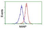 NANP Antibody in Flow Cytometry (Flow)