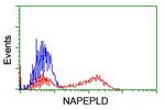NAPEPLD Antibody in Flow Cytometry (Flow)
