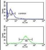 NARFL Antibody in Flow Cytometry (Flow)