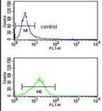 NCF4 Antibody in Flow Cytometry (Flow)