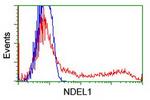 NDEL1 Antibody in Flow Cytometry (Flow)