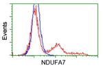NDUFA7 Antibody in Flow Cytometry (Flow)