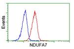 NDUFA7 Antibody in Flow Cytometry (Flow)