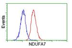 NDUFA7 Antibody in Flow Cytometry (Flow)