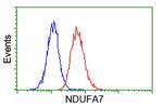 NDUFA7 Antibody in Flow Cytometry (Flow)