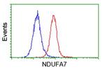 NDUFA7 Antibody in Flow Cytometry (Flow)