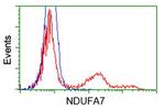 NDUFA7 Antibody in Flow Cytometry (Flow)