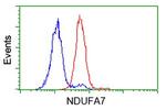 NDUFA7 Antibody in Flow Cytometry (Flow)