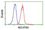 NDUFB9 Antibody in Flow Cytometry (Flow)