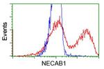 NECAB1 Antibody in Flow Cytometry (Flow)