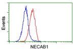 NECAB1 Antibody in Flow Cytometry (Flow)