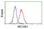 NECAB1 Antibody in Flow Cytometry (Flow)