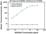NEUROG1 Antibody in Luminex (LUM)