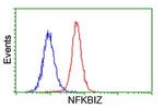 NFKBIZ Antibody in Flow Cytometry (Flow)