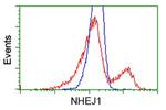 NHEJ1 Antibody in Flow Cytometry (Flow)